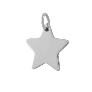 Colgante Estrella Lisa