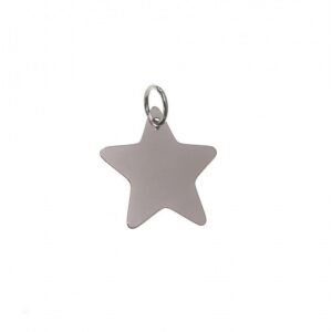 Colgante Estrella Lisa