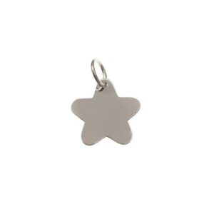 Chapa estrella pequeña