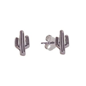 Pendiente presión cactus