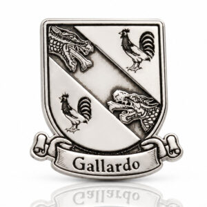 Pin plata 925mm escudo heraldico armas