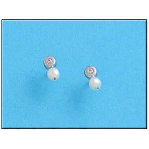 Pendientes oro blanco 18kl circulo
