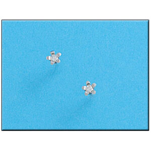 Pendientes oro blanco 18kl flor